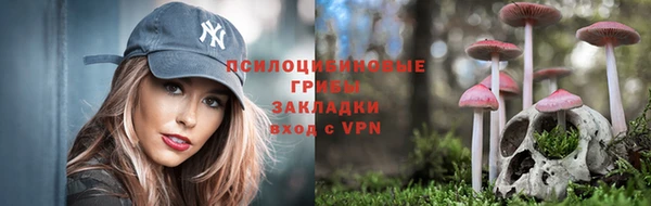 гидропоника Верхнеуральск