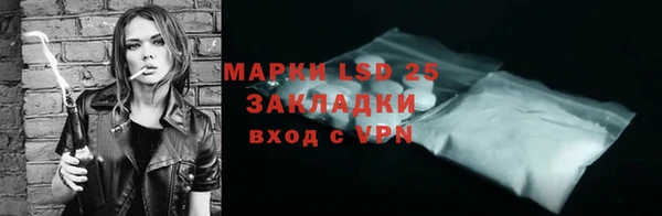 таблы Бородино