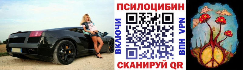 Галлюциногенные грибы ЛСД  Купить закладки  Тейково 